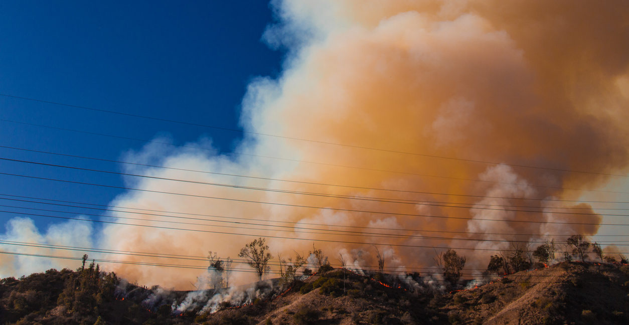 California Wildfires: Disaster Relief Resources