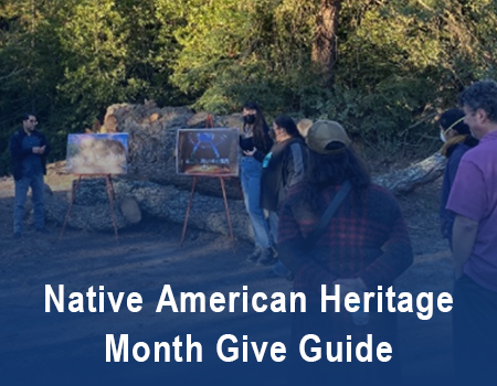 Native American Heritage Month Give Guide
