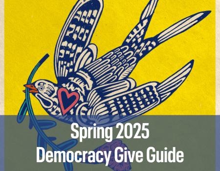 Spring 2025 Democracy Give Guide