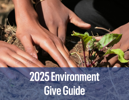 2025 Environment Give Guide