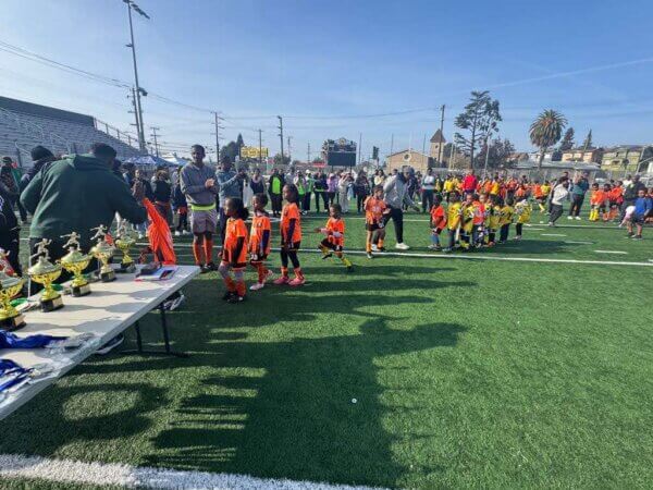 Group of small children in soccer uniforms line up on green, grass field under blue sky.